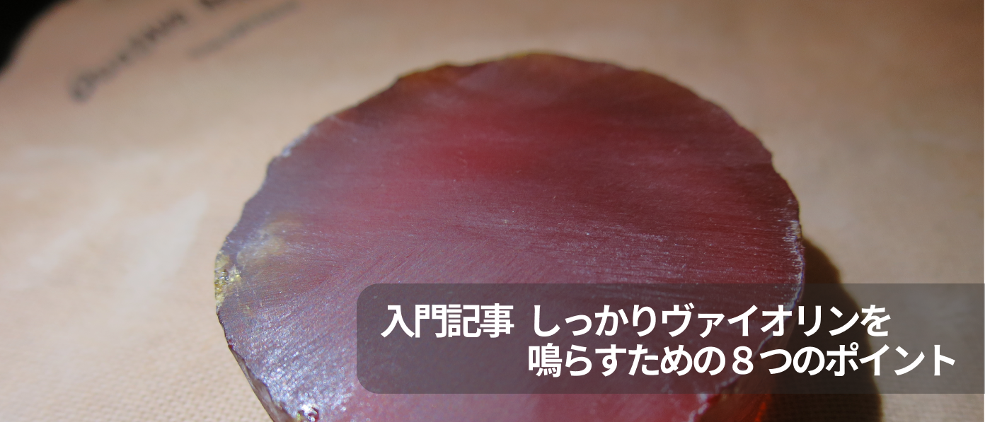 ヴァイオリンの弓のすべて【はじめてガイド】の画像
