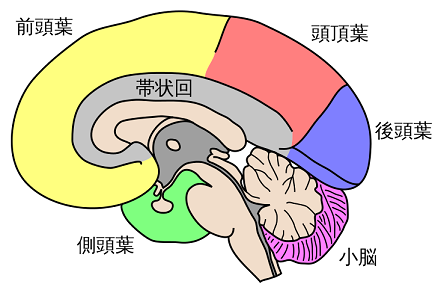 認知症予防&脳トレに!ピアノがシニア世代にもたらすメリットの画像