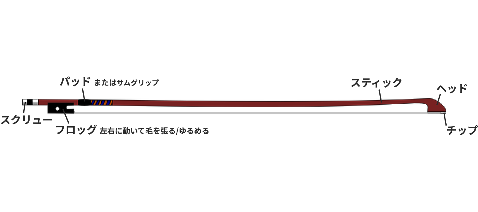 ヴァイオリンの弓のすべて【はじめてガイド】の画像