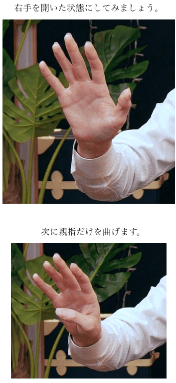 「アルハンブラの思い出」を通してクラシックギターの魅力に迫る!の画像
