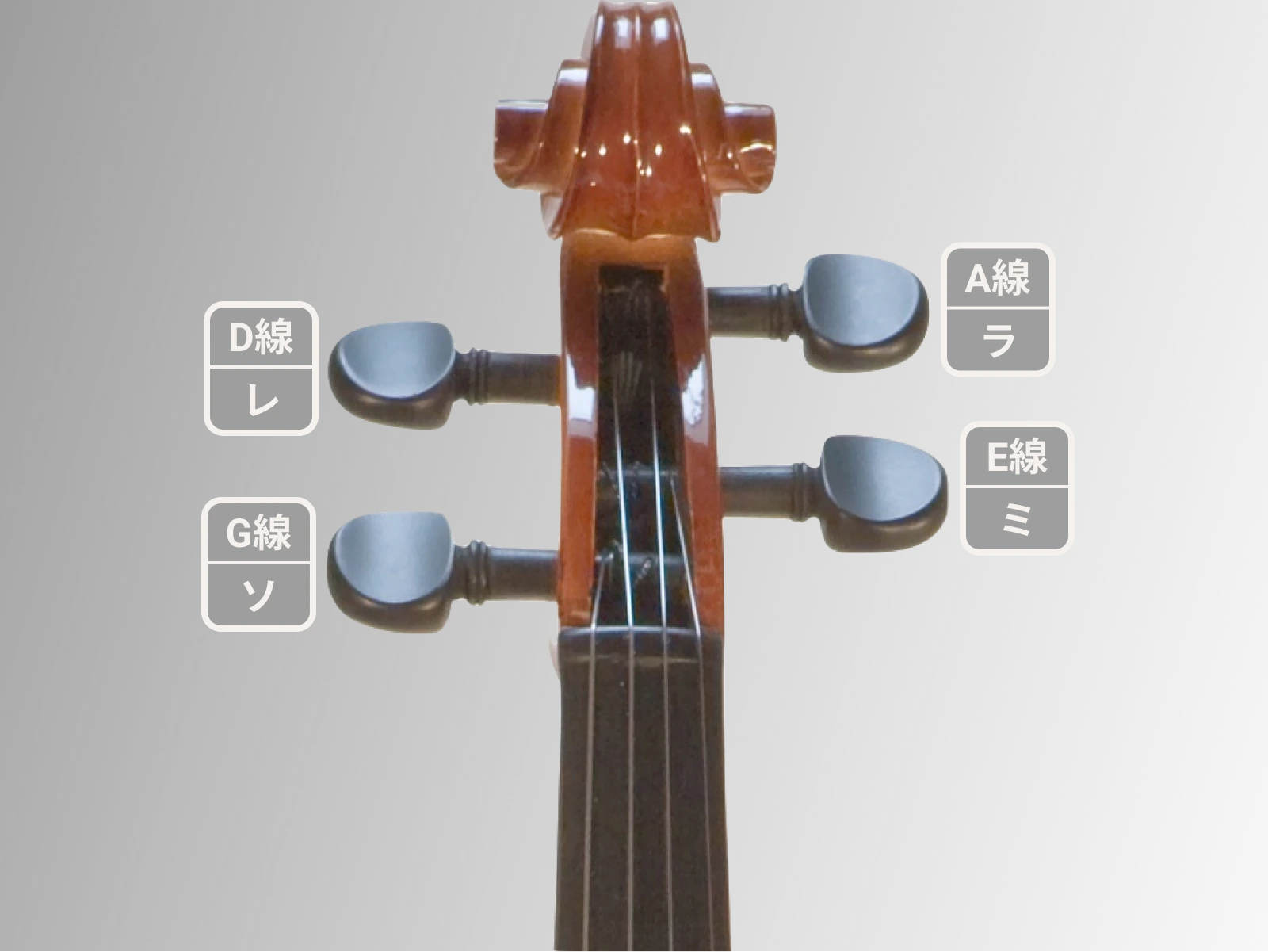 はじめてのヴァイオリンの調弦【音感が無くてもOK】の画像