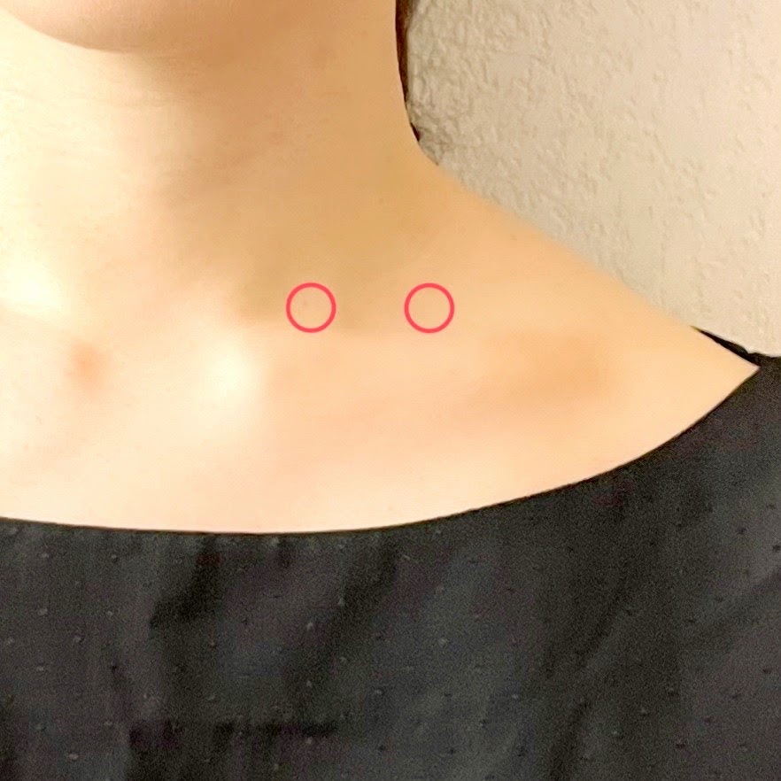 【プロが教える】バイオリン初心者がまず見るべき練習・購入・調弦ガイドの画像