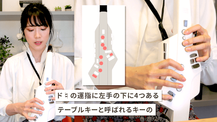 初級・中級どちらで始める？フォニム　エアロフォン講座の選択ガイドの画像